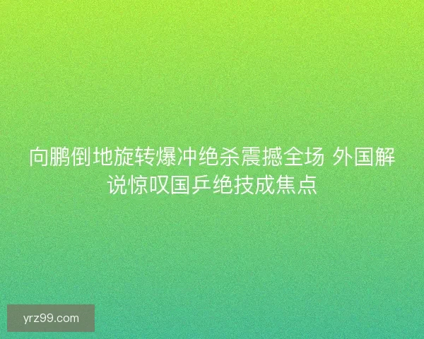向鹏倒地旋转爆冲绝杀震撼全场 外国解说惊叹国乒绝技成焦点